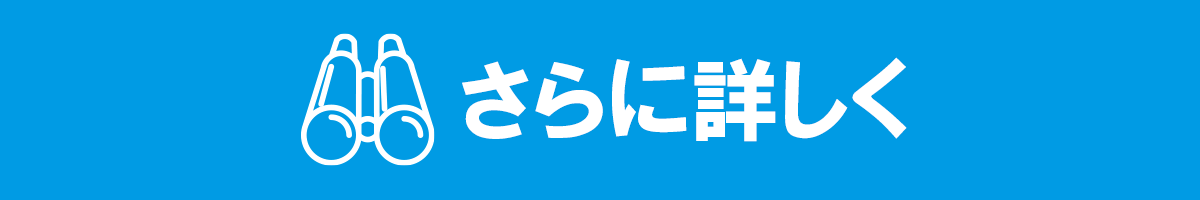 さらに詳しく